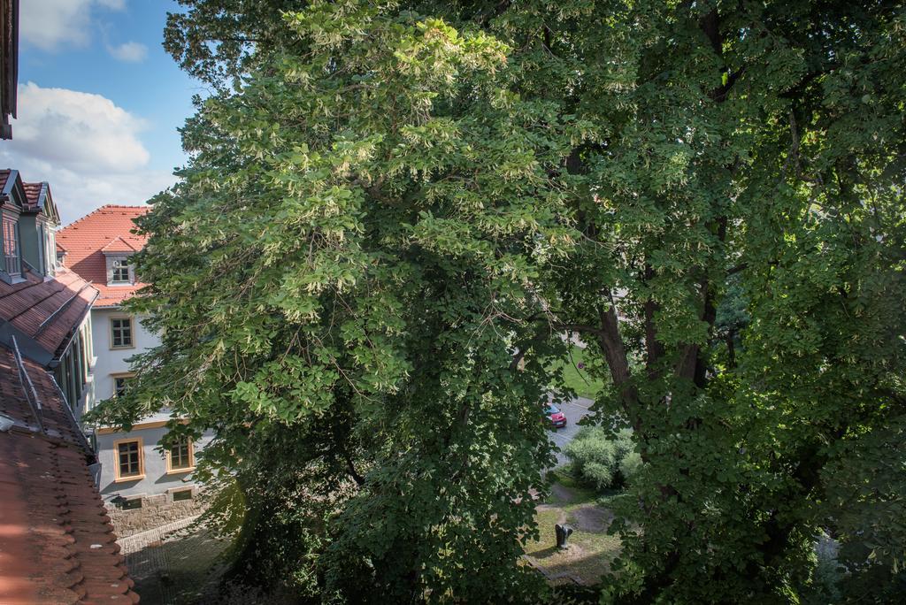 "Goethezimmer" Ferienwohnung Und Zimmer Am Burgplatz ワイマール エクステリア 写真